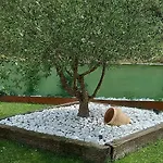 Leku Eder Ареаца