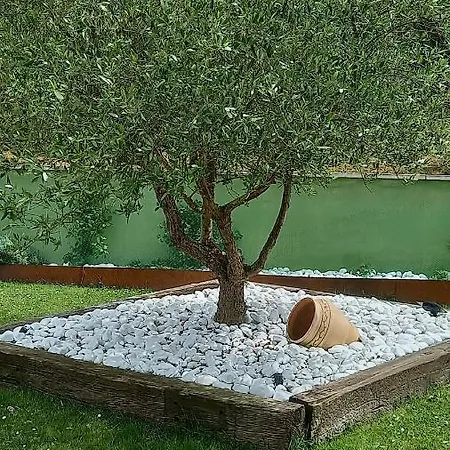 Leku Eder Areatza
