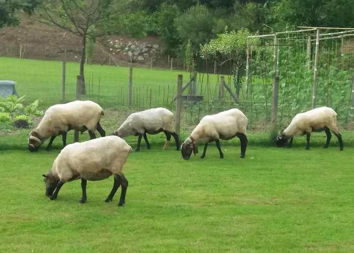 Habitación en casa particular Leku Eder Areatza