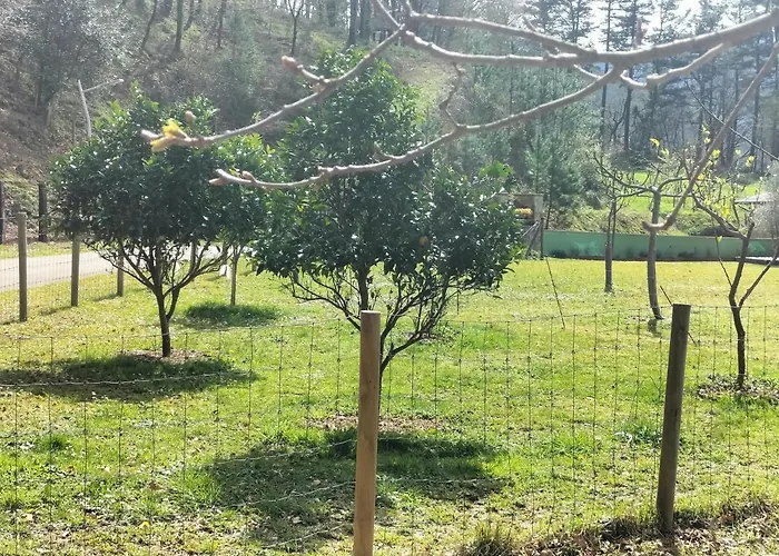 Leku Eder Habitación en casa particular Areatza